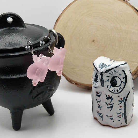 Earrings - Resin Piggy