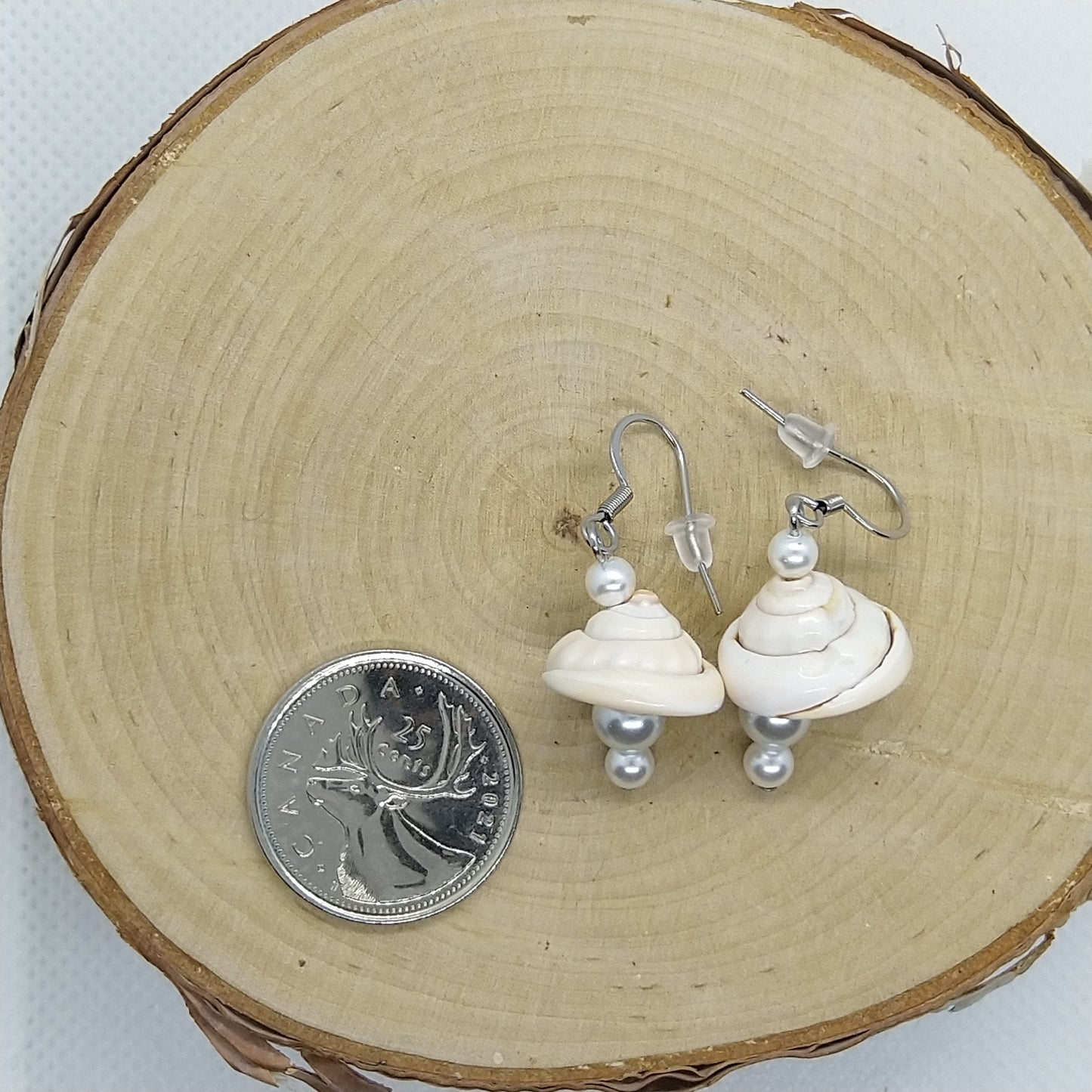 Earrings - Shells